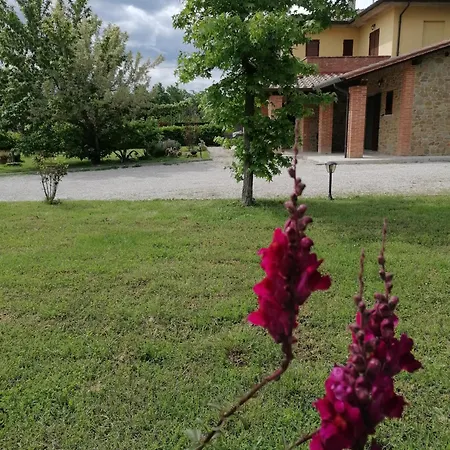 Il Boschetto Da Michael -nocciolo