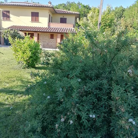 招待所 Il Boschetto Da Michael -nocciolo *