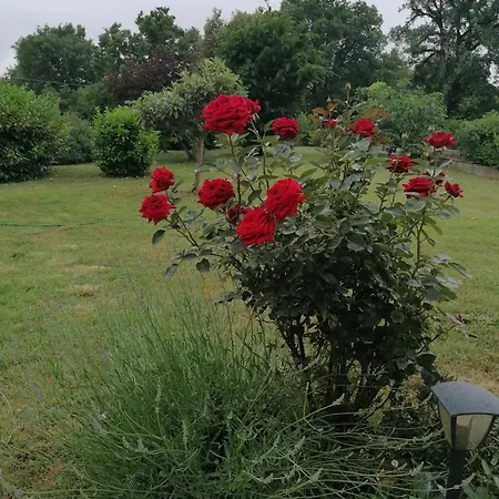 招待所 Il Boschetto Da Michael -nocciolo 巴迪亚尔皮诺